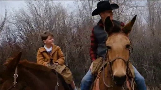 Signal Relief TV Spot, 'New Year Offer: 20% Off'