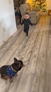 Lucas piensa que Roki es su caballito Pony 😅🤣 pero Roki es más astuto y se quita rápido 😳 | Laura Maya