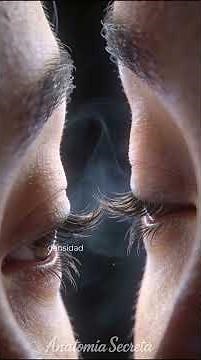 👁️ EYELASHES | Parts of the Human Body #31