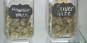 State crime labs aren’t equipped to test for THC levels in industrial hemp