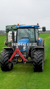 4.1K views · 30 reactions | The cows don't even want to go outside!...