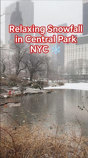 Relaxing Snowfall in Central Park NYC ❄️ Winter Ambience 4K #snowfall #newyork #winter