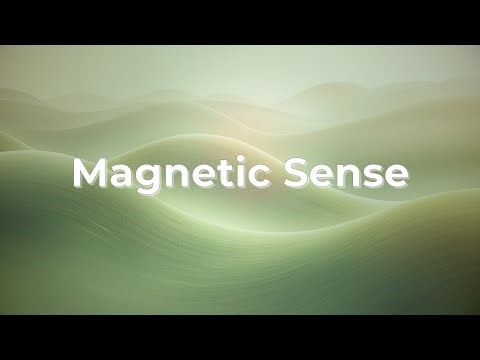 Why Some Animals Sense Earth’s Magnetic Field