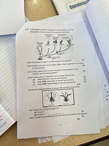 2.3 A phylogentic tree for the plants is shown below. Use the p... | Filo