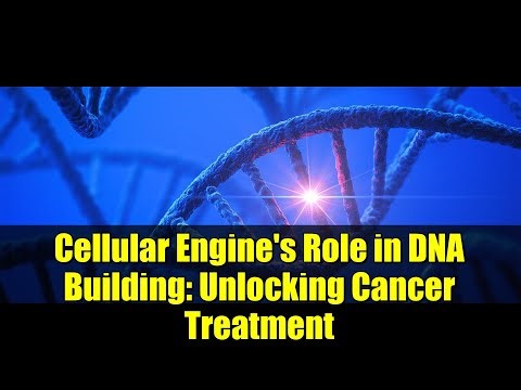 Cellular Engine's Role in DNA Building: Unlocking Cancer Treatment