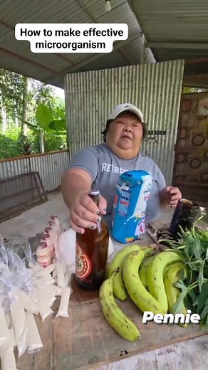 116K views · 2.7K reactions | Making DIY effective microorganism  @highlight #diy #diyideas #hilightseveryonefollowers #bisayangcontentcreator #hilights | Pennie A. Buhian | Facebook