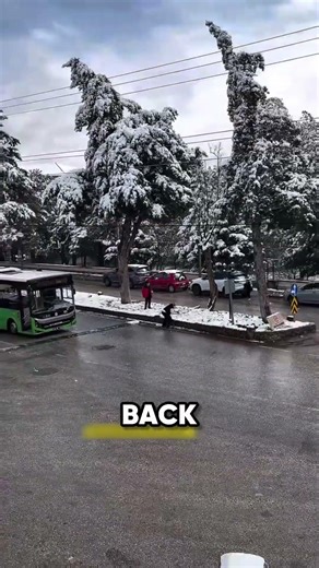 This Bus Driver Turned Anger Into a Snowball #kindness #funny #shorts