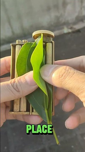 HOW TO ROLL A PERFECT JOINT IN 30S WITH THE NEW ZATOBE😎💨