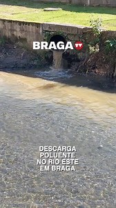 O Rio Este, em Braga, voltou a sofrer uma descarga poluente este domingo. O momento foi registado na Rua Padre Armando Lira e partilhado nas redes sociais. 🎥 Joaquim Roque 📝 Sandra Catarina Antunes / Braga TV | Braga TV