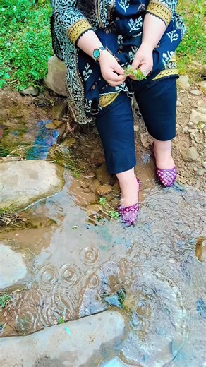 Kashmir Ka Dil: A Slice of Paradise
