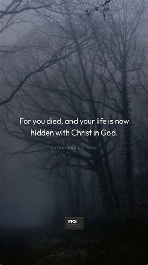 Colossians 3:3 - Hidden With Christ | Daily Scripture