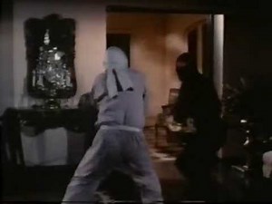 The Master: Ninja Fight 06