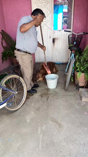 Man Playfully Bathing Dog in Rustic Outdoor Setting