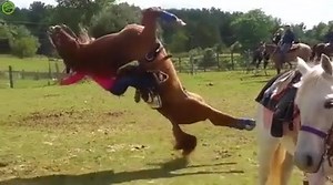 John Cena. | "Challenge Accepted!"
