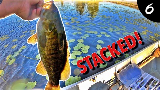 Fishing a Tiny Hidden Pond LOADED with Smallmouth Bass! (STACKED!)