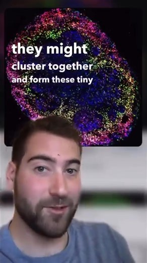 2.4K views · 76 reactions | Life is amazing. Be a cell in a dish. #biology #science #lifeisamazing #culture #heart #learn #scicomm #research #phdlife #neuroscience #fascinating | Ben Rein, PhD | Facebook