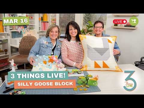 3 Things Live: Silly Goose Quilt Block + Easy St. Patrick’s Day ScanNCut Ideas