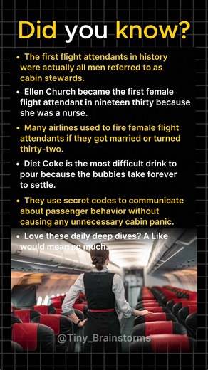 The Bizarre Age Limit For Flight Attendants Back Then!