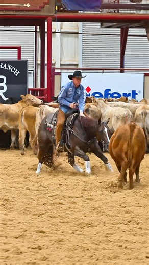 We don’t call her the QUEEN for nothing…👑 CR MISS MAYZIE threw down a brilliant 219.5 last night deep in the last set of 5/6 Open Classic Finals to finish 7th for owners Ray & Brenda Lipsey👏🏼👏🏼 Mayzies’s check last night brought her total Lifetime Earnings to $446,875 This officially makes her TRPH’s highest money earning horse of Tarin’s career 💥💪🏼 We could go on for days about how special this mare is, and how much she means to us…but the fact of it is, she loves her job, and we’ve bee