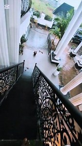 The disadvantage of marrying a Tonga woman😭 is this how all Tonga women behave?😂 | Prophet Seer1