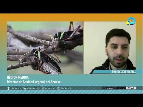 Entrevista a Héctor Medina en Pampero TV