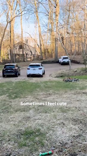 I promise I don't bite hahahaha | Shawn Johnson East