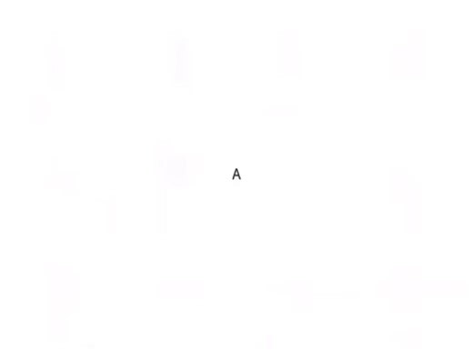 Exploring the Cast of IT 2017