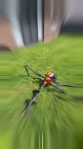 15 reactions | ✨ Get involved in National Patio Day 2020! ✨...