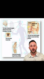 7.5K views · 98 reactions | These 3 things may be causing your balance issues and #vertigo #balance #dizziness | Upper Cervical Chiropractor Near Me | Facebook