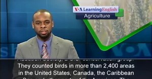 US Study Shows Climate Change Affecting Bird Migration