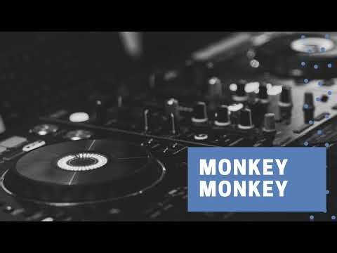 MONKEY MONKEY 💘🎧🎹 La mejor música electrónica 2025