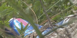 Organization helping to cleanup beach during Spring Break