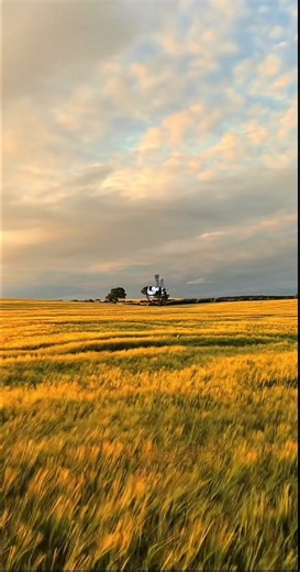 اللهم لك الحمد حتى ترضى ولك الحمد إذا رضيت ولك الحمد بعد الرضا#صدقه_جاريه_لجميع_اموات_المسلمين #قران_كريم #الصلاه