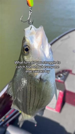 Mastering the Crankbait: Tips for Successful Fishing