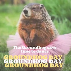 The Groundhog says〈br/〉time to dance