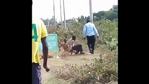Kenyans applaud school teacher caught on camera meting out corporal punishment – VIDEO
