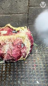 94K views · 11 reactions | Pressure washing the paint off after chemical dip Partner: minute_of_dangle | Awesome | Facebook