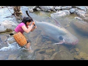 Primitive Technology - Cooking Big Cat fish by Girl At river - grilled fish Eating delicious 32 | AnimalsWow