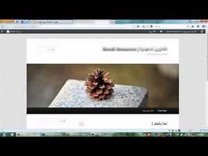 تحميل و تثبيت الوردبريس اون لاين خطوة بخطوة