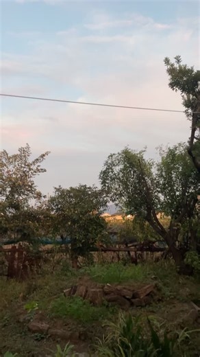 屑米30キロ14袋、鶏二十数羽の1年分の基本のご飯。 これも近所のお米屋さんで捨てられる予定だったものを無料で回収。ありがとうございます。屑米も今、ネットで買うと高いんです。 | Tomoki Nanasawa