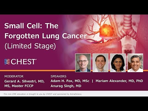 Small Cell: The Forgotten Lung Cancer (Limited Stage)
