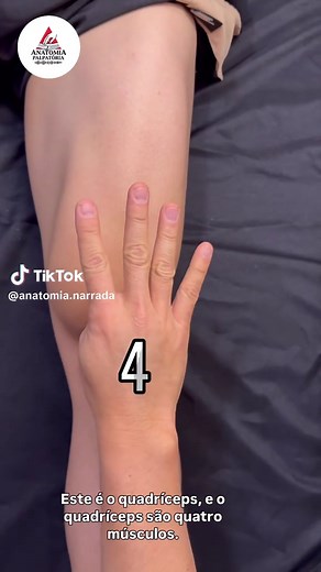 Anatomia do Quadríceps: Funções e Importância