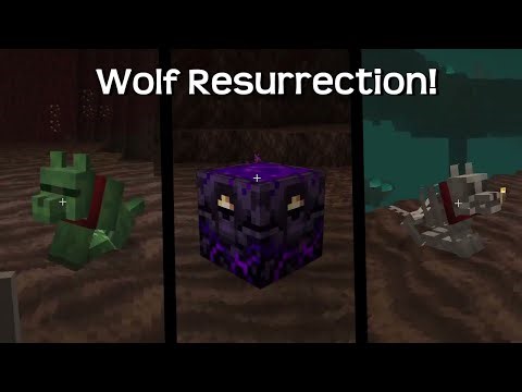 Resurrecting Wolves In Minecraft!