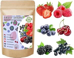 Mix Fruit Seeds 1100+ Berry Seeds for Planting Strawberry Raspberry Mulberry Blueberry Elderberry Cherry - 6 Varieties Individually Packaged Non-GMO for Home Garden
