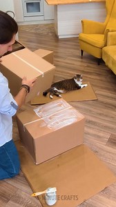 Your Cat Deserves This Cardboard Castle! 🏰📦🐾 | 5-Minute Recycle