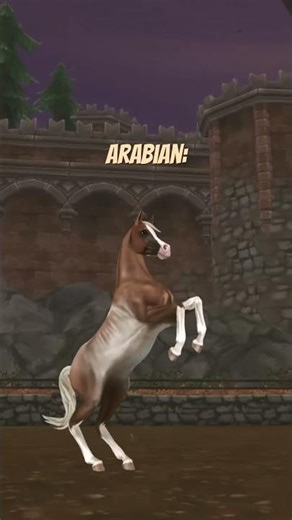 What are your favorite horse coats?🌼 #sso #starstableonline #starstable #horse #gaming