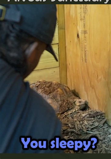 BFFs Rage and Push Pop Reunite at Alveus Sanctuary