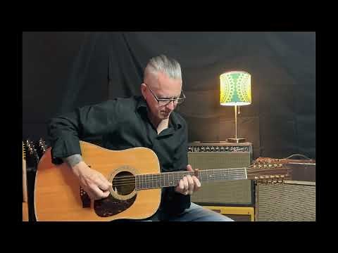 Zager ZAD900E 12 String Sound Demonstration | Hotel California - Eagles