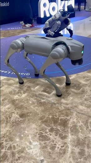 AI강아지 반려로봇, 인공지능 강아지, 로봇강아지 Robot dog