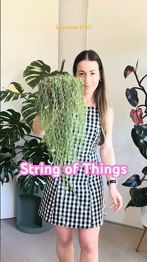 String Of Things Growth Hack! Best Houseplants of 2025